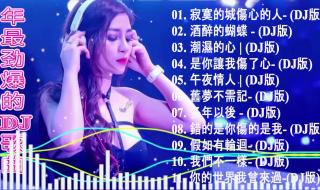 除了凤舞九天DJ舞曲以外还有哪些比较好听的有名的DJ舞曲呢